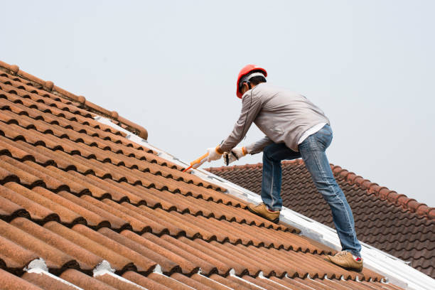 Best Metal Roofing Installation  in Pearl Beach, MI