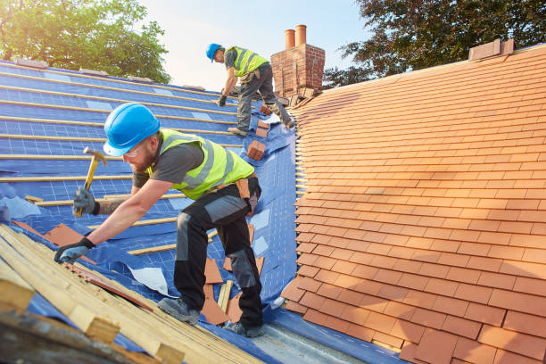 Best Chimney Flashing Repair  in Pearl Beach, MI